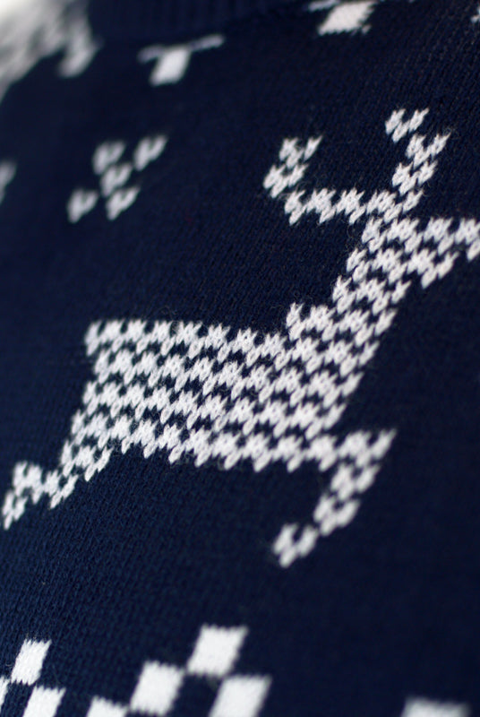 Camisola de Natal Azul para Família Pólo Norte rena