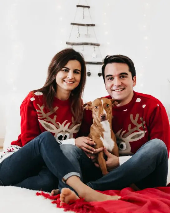 Camisola de Natal Casal Rena e Neve Vermelha com Cachorro