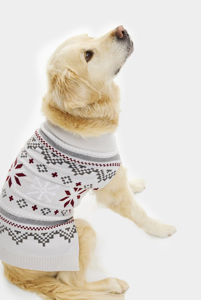 Camisola de Natal para Cães Cinzenta com Estrelas Polares