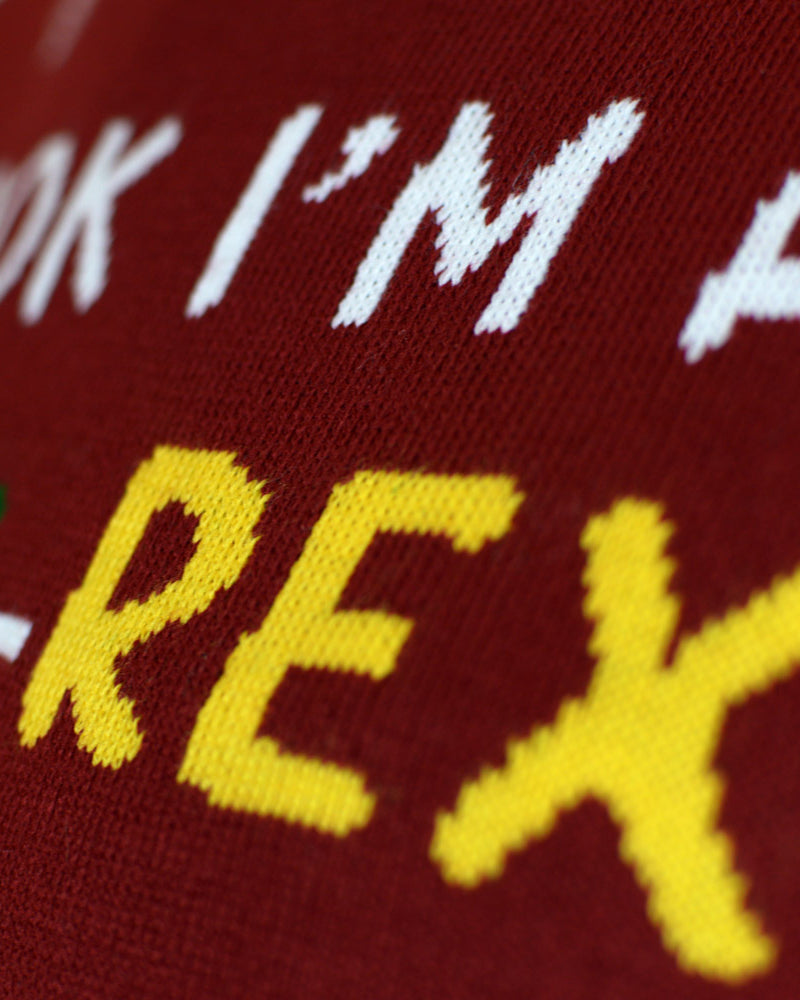 Camisola de Natal com Luzes LED Christmas Tree-Rex detalhe