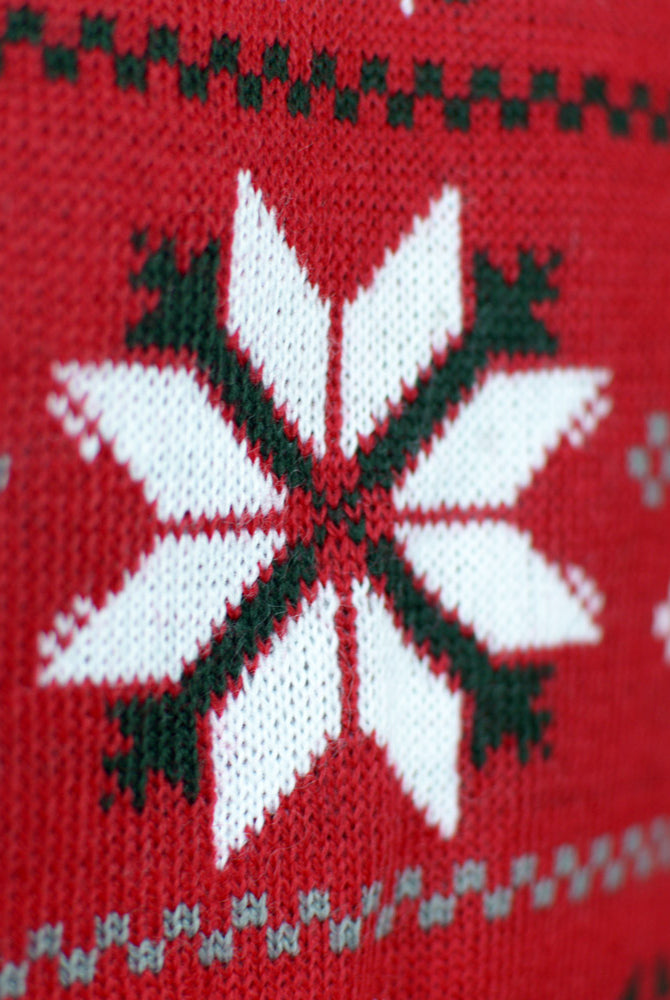 Camisola de Natal para Família Vermelha com Renas, Árvores e Estrela Polar Detalhe