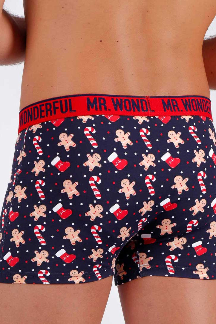 Boxer de Natal para Homem Mr Wonderful Biscoitos e Bastões