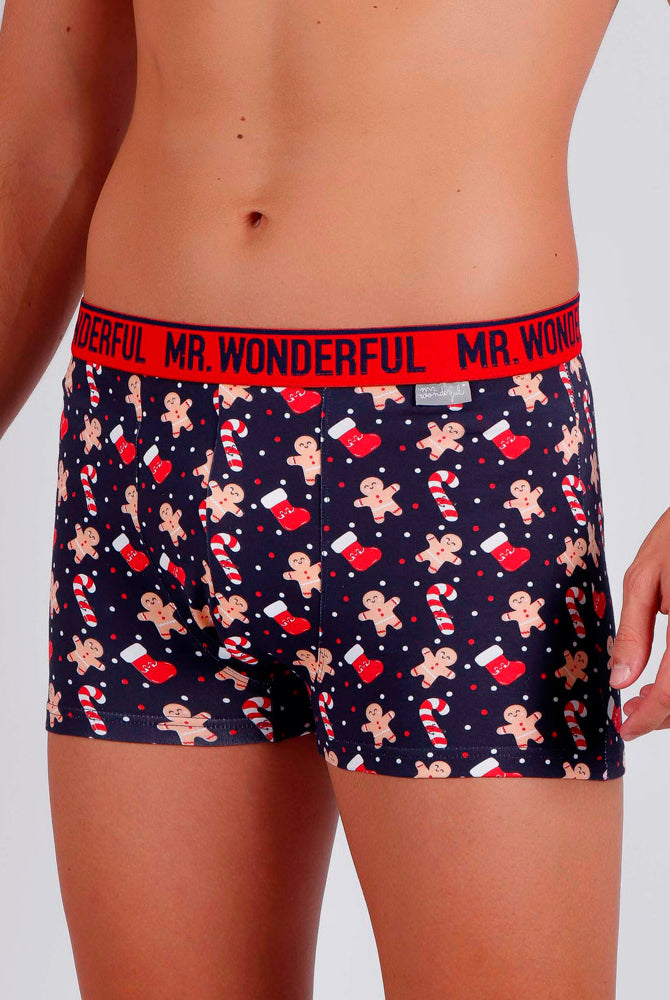 Boxer de Natal para Homem Mr Wonderful Homem Biscoitos e Bastões