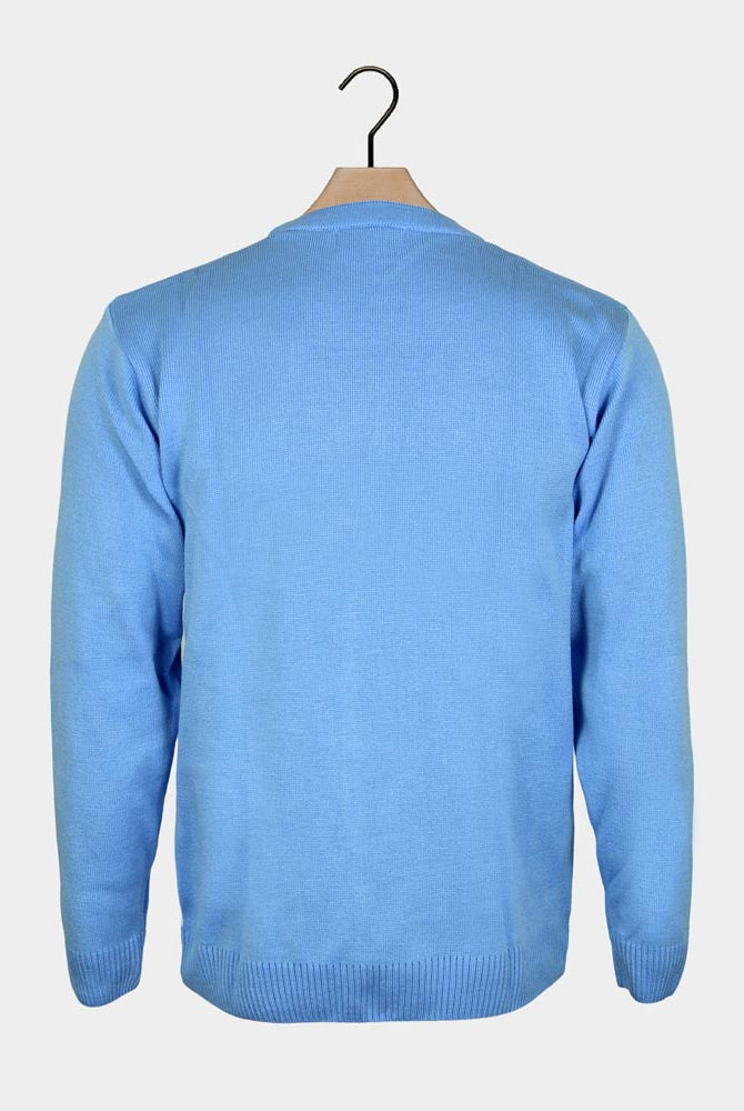 Camisola de Natal Azul Claro para Família com Pinguim Costas