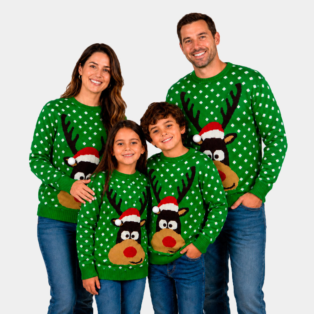 Camisola de Natal para Família Verde Rena com Gorro 3D
